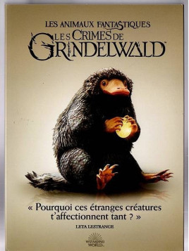 Le film de David Yates : Les animaux fantastiques – les crimes de Grindelwald est en stock en dvd à la boutique ciel rouge