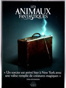 Le film de David Yates : Les animaux fantastiques  est en stock en dvd à la boutique ciel rouge à Dijon