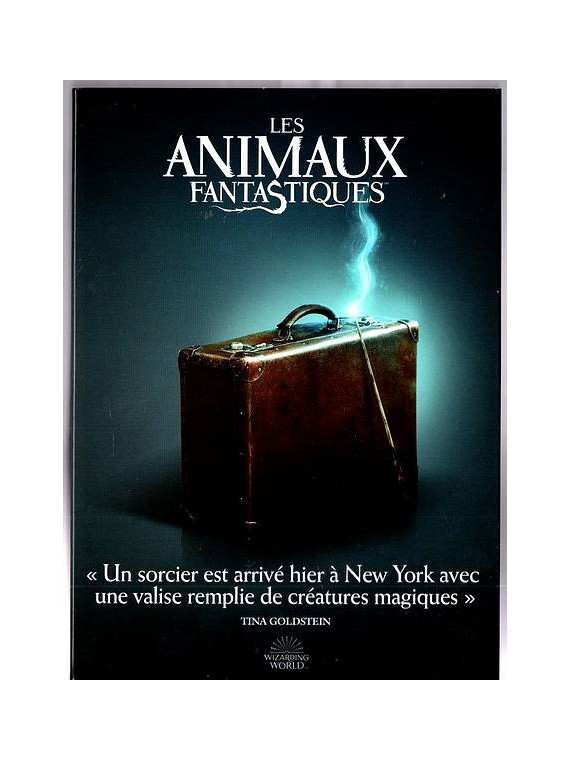 Le film de David Yates : Les animaux fantastiques  est en stock en dvd à la boutique ciel rouge à Dijon