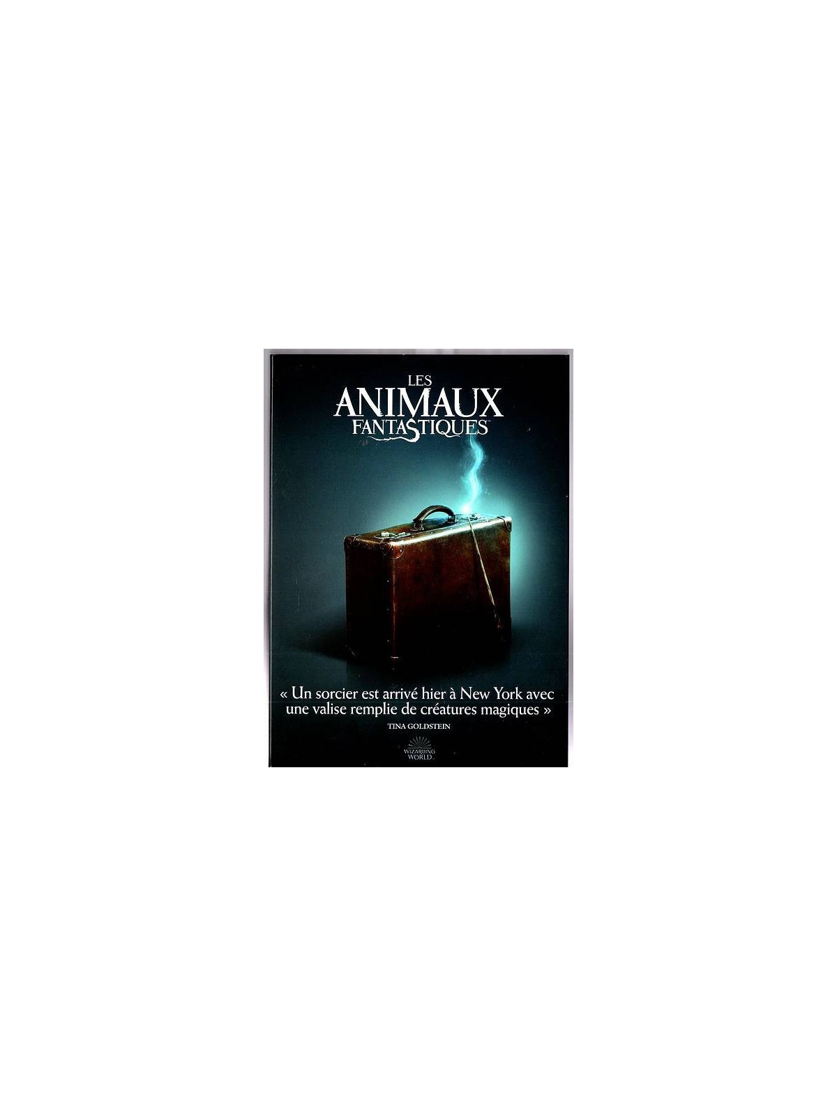 Le film de David Yates : Les animaux fantastiques  est en stock en dvd à la boutique ciel rouge à Dijon