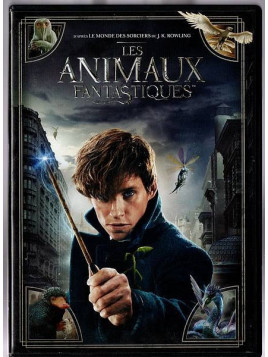 Le film de David Yates : Les animaux fantastiques  est en stock en dvd à la boutique ciel rouge à Dijon