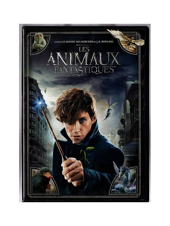 Le film de David Yates : Les animaux fantastiques  est en stock en dvd à la boutique ciel rouge à Dijon