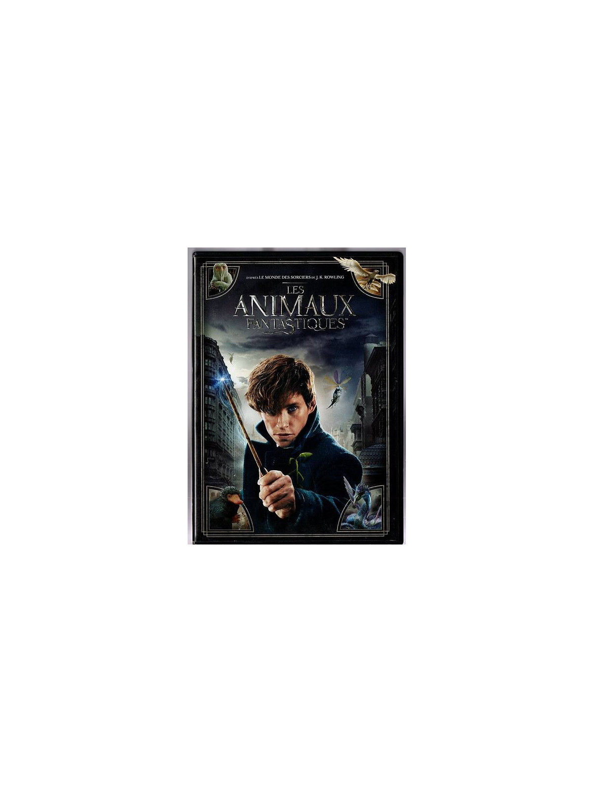 Le film de David Yates : Les animaux fantastiques  est en stock en dvd à la boutique ciel rouge à Dijon