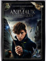 Le film de David Yates : Les animaux fantastiques  est en stock en dvd à la boutique ciel rouge à Dijon