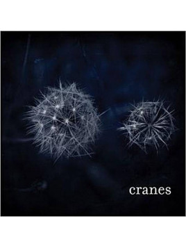 Le disque de Cranes : Cranes est en stock en vinyle chez le disquaire Ciel rouge à Dijon
