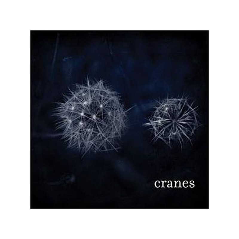 Le disque de Cranes : Cranes est en stock en vinyle chez le disquaire Ciel rouge à Dijon