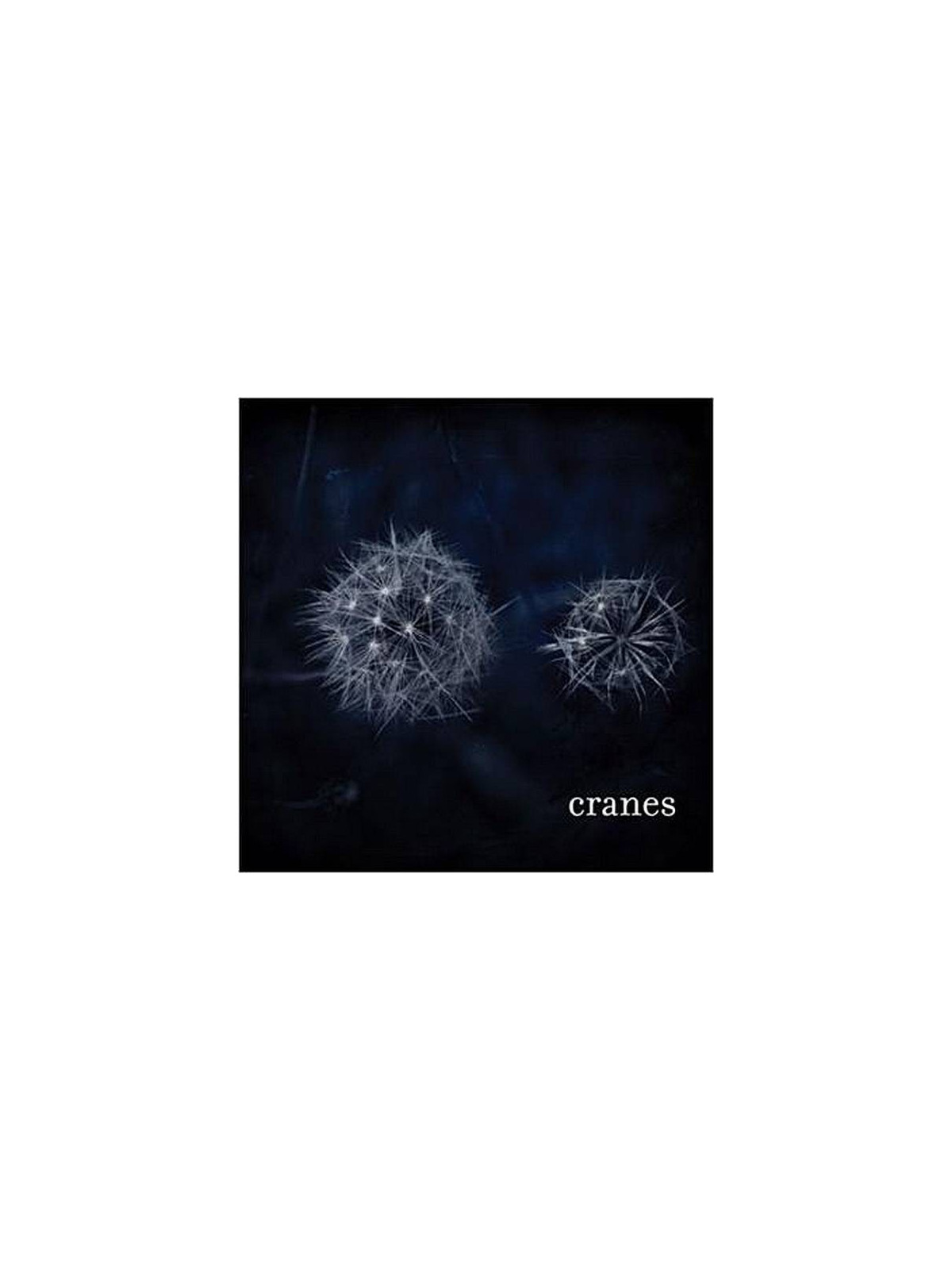 Le disque de Cranes : Cranes est en stock en vinyle chez le disquaire Ciel rouge à Dijon