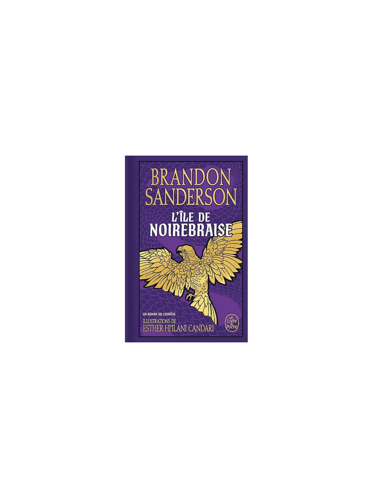 Le livre fantasy L'île de Noirebraise de Brandon Sanderson est disponible à Ciel rouge Dijon