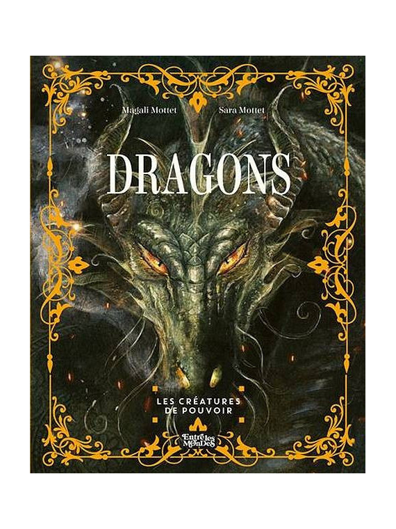 Le livre illustré sur les Dragons de Magali et Sara Mottet est disponible à Ciel rouge Dijon
