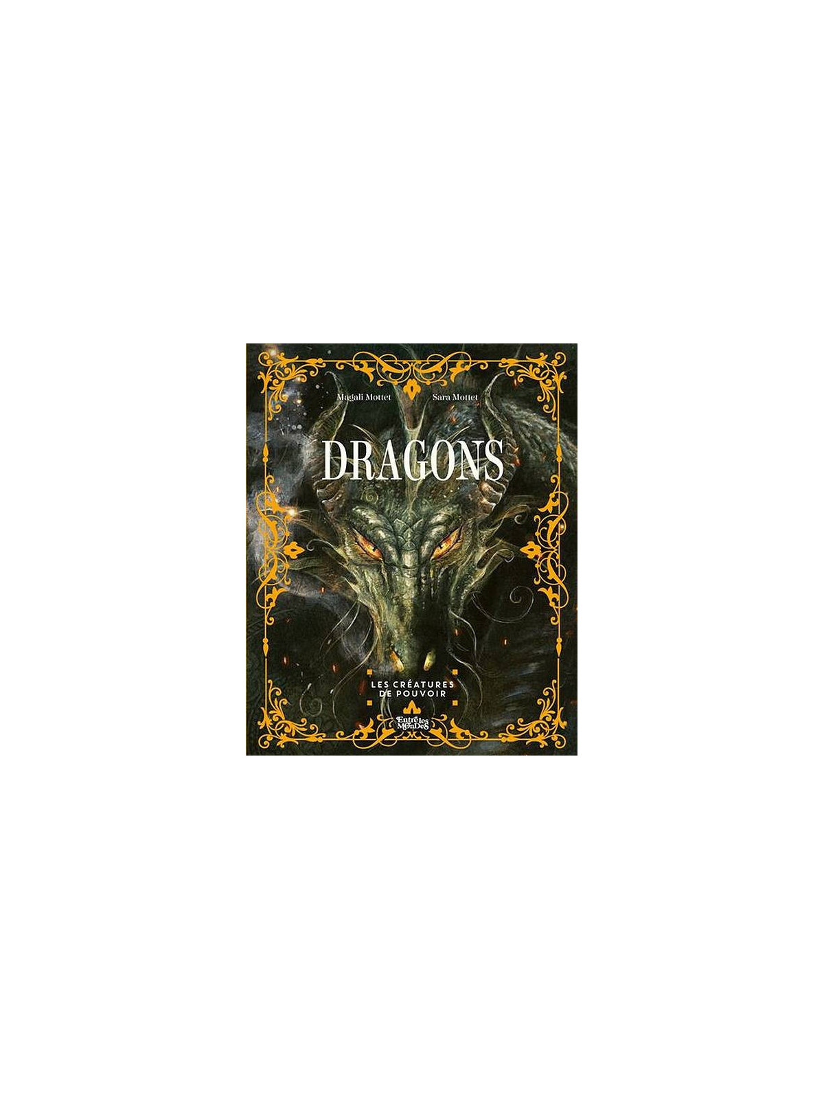 Le livre illustré sur les Dragons de Magali et Sara Mottet est disponible à Ciel rouge Dijon