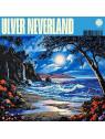 Le cd electro Neverland de Ulver est disponible à Ciel rouge Dijon