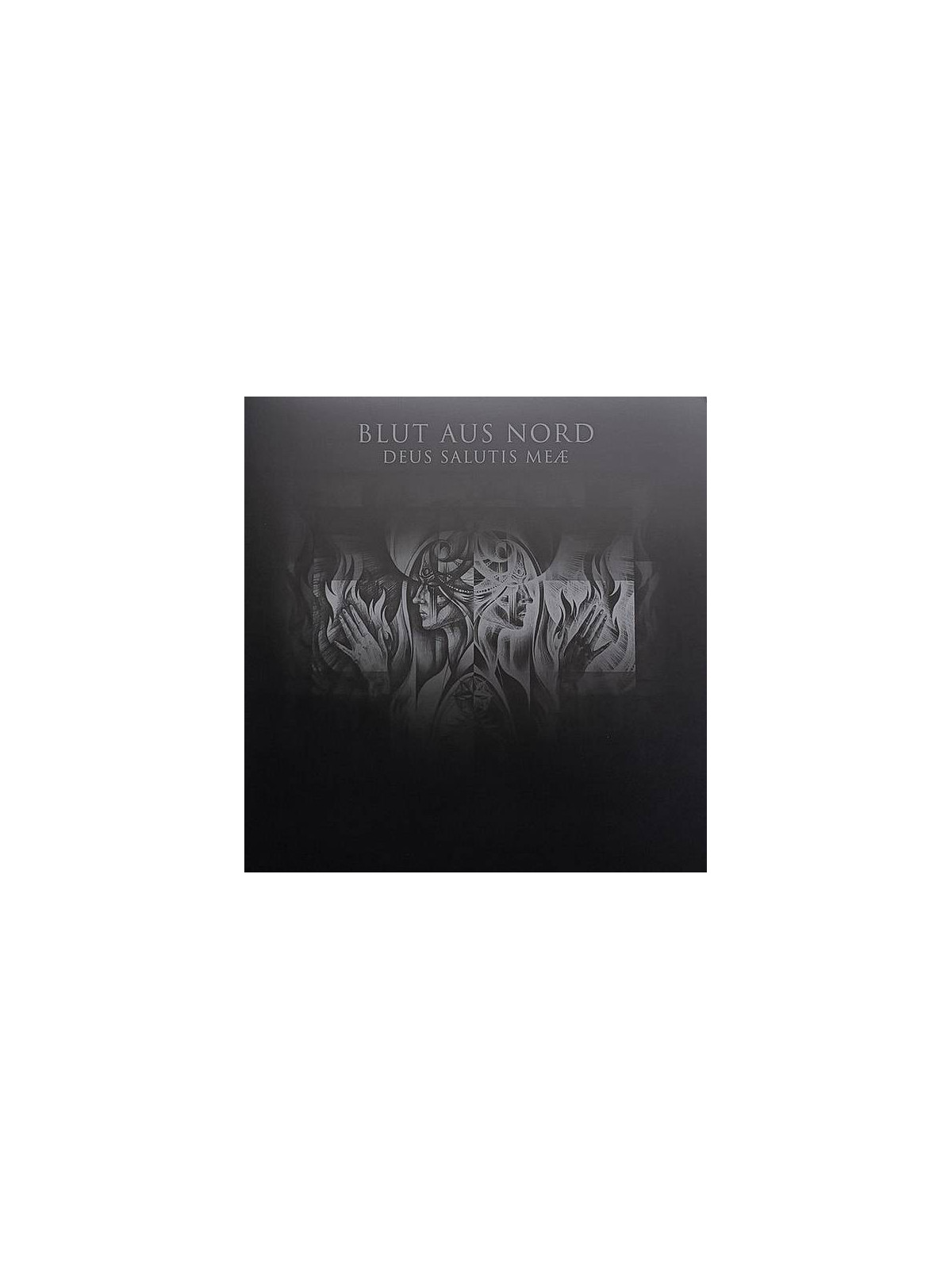 Le disque de Blut aus Nord : Deus salutis meae est en stock en vinyle limité à ciel rouge, disquaire à Dijon