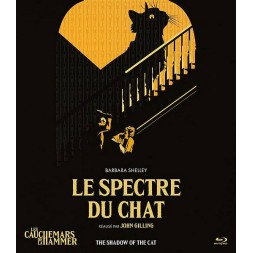 Le film deJohn Gilling : Le spectre du chat est en stock en blu-ray à la boutique Ciel rouge à Dijon