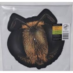 Le vinyle limité rsd2026 Big fig wasp de King gizzard and the lizard wizard est disponible à Ciel rouge Dijon