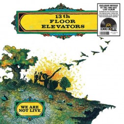 Le vinyle en édition limitée rsd 2026 We are not live de 13th floor elevators est disponible à ciel rouge Dijon