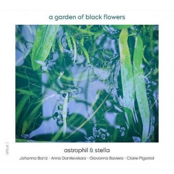 le disque de Astrophil & Stella : A garden of black flowers est en stock en cd à ciel rouge, disquaire à dijon