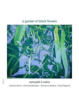 le disque de Astrophil & Stella : A garden of black flowers est en stock en cd à ciel rouge, disquaire à dijon