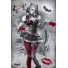 l'Affiche Batman Arkham knight : Harley Quinn est en stock au magasin Ciel rouge situé au centre-ville de Dijon