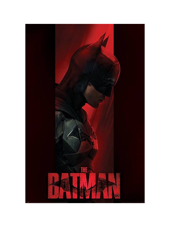 l'Affiche The batman : Out of the shadows est en stock au magasin Ciel rouge situé au centre-ville de Dijon