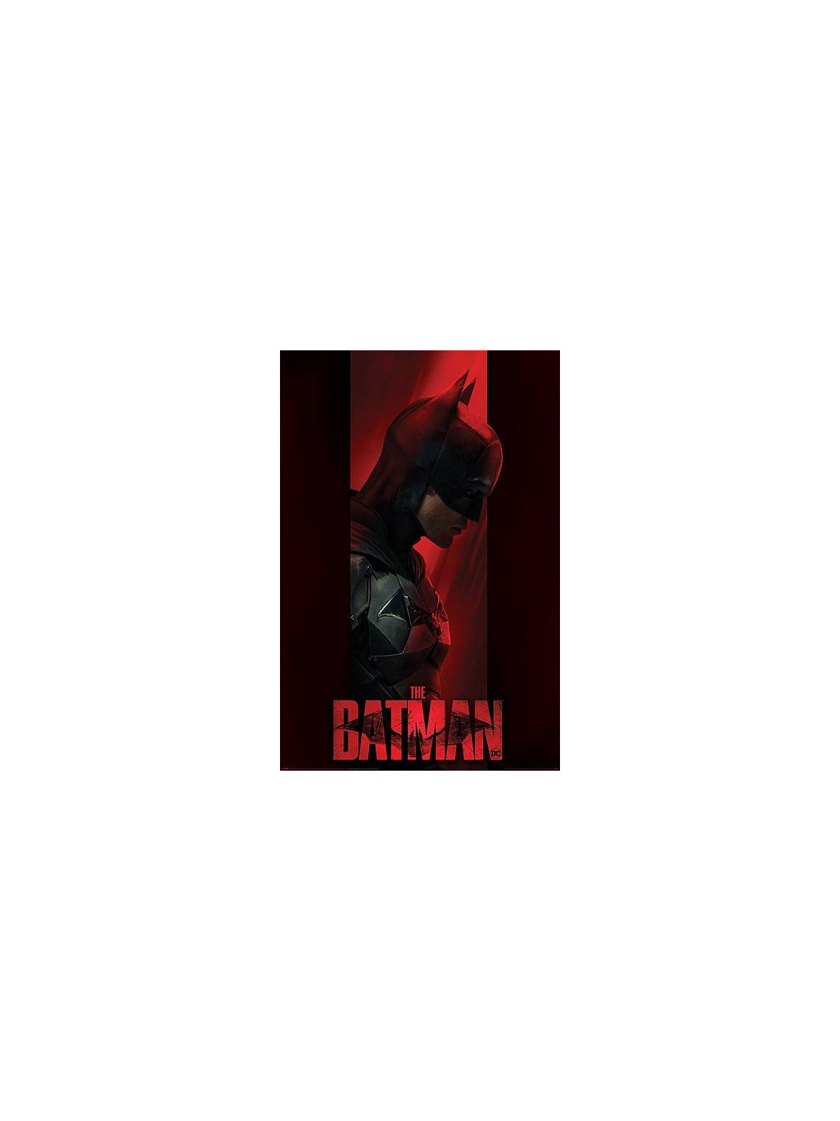l'Affiche The batman : Out of the shadows est en stock au magasin Ciel rouge situé au centre-ville de Dijon