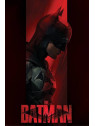 l'Affiche The batman : Out of the shadows est en stock au magasin Ciel rouge situé au centre-ville de Dijon