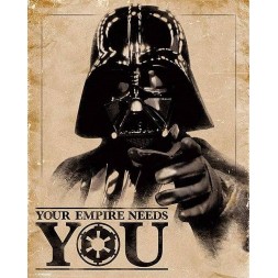 l'Affiche Star wars : Classic - Your empire needs you est en stock au magasin Ciel rouge situé au centre-ville de Dijon