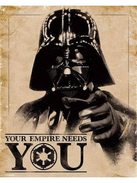 l'Affiche Star wars : Classic - Your empire needs you est en stock au magasin Ciel rouge situé au centre-ville de Dijon