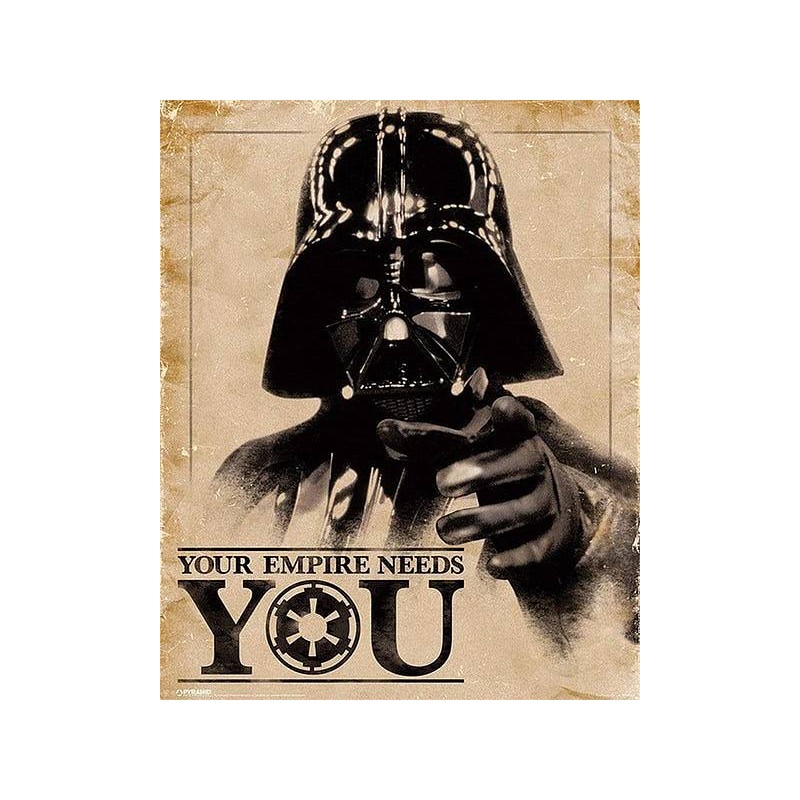 l'Affiche Star wars : Classic - Your empire needs you est en stock au magasin Ciel rouge situé au centre-ville de Dijon