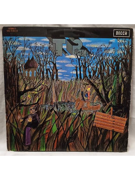 Le disque de T2 : It'll all work out in Boomland est disponible en vinyle à Ciel rouge, disquaire à Dijon