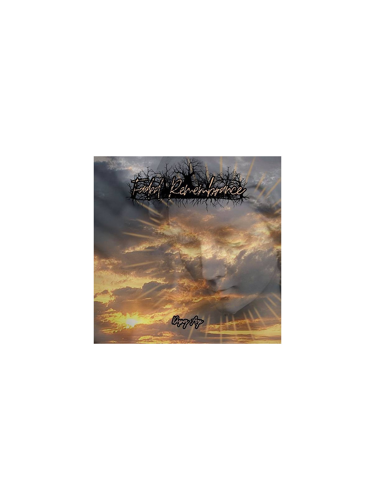 Le disque de Faded remembrance : Dying age est disponible en cd à Ciel rouge, disquaire à Dijon