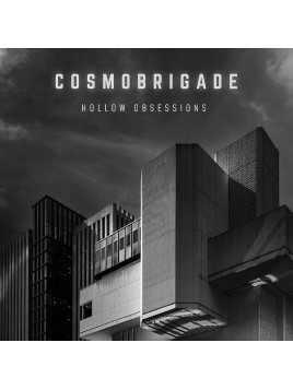 Le disque deCosmobrigade : Hollow obsessions est disponible en vinyle à Ciel rouge, disquaire à Dijon