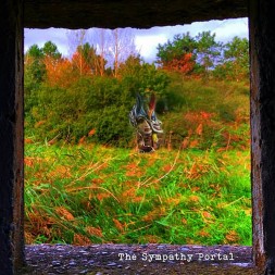 Le disque de Edward Ka-Spel : The sympathy portal est en stock en vinyle à Ciel rouge, disquaire à Dijon