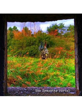 Le disque de Edward Ka-Spel : The sympathy portal est en stock en vinyle à Ciel rouge, disquaire à Dijon