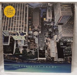 Le vinyle de The young gods : Everybody knows est disponible à Ciel rouge, disquaire indépendant à Dijon
