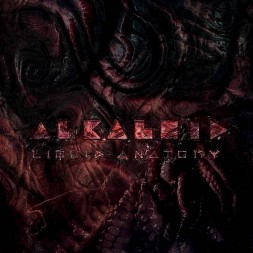 Le disque de Alkaloid : Liquid anatomy est disponible en vinyle à Ciel rouge, disquaire à Dijon