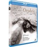 Le blu-ray fantastique Orphée de jean Cocteau est disponible à Ciel rouge Dijon