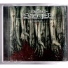 Le cd metal Issue VI de Dew-scented est disponible à Ciel rouge Dijon