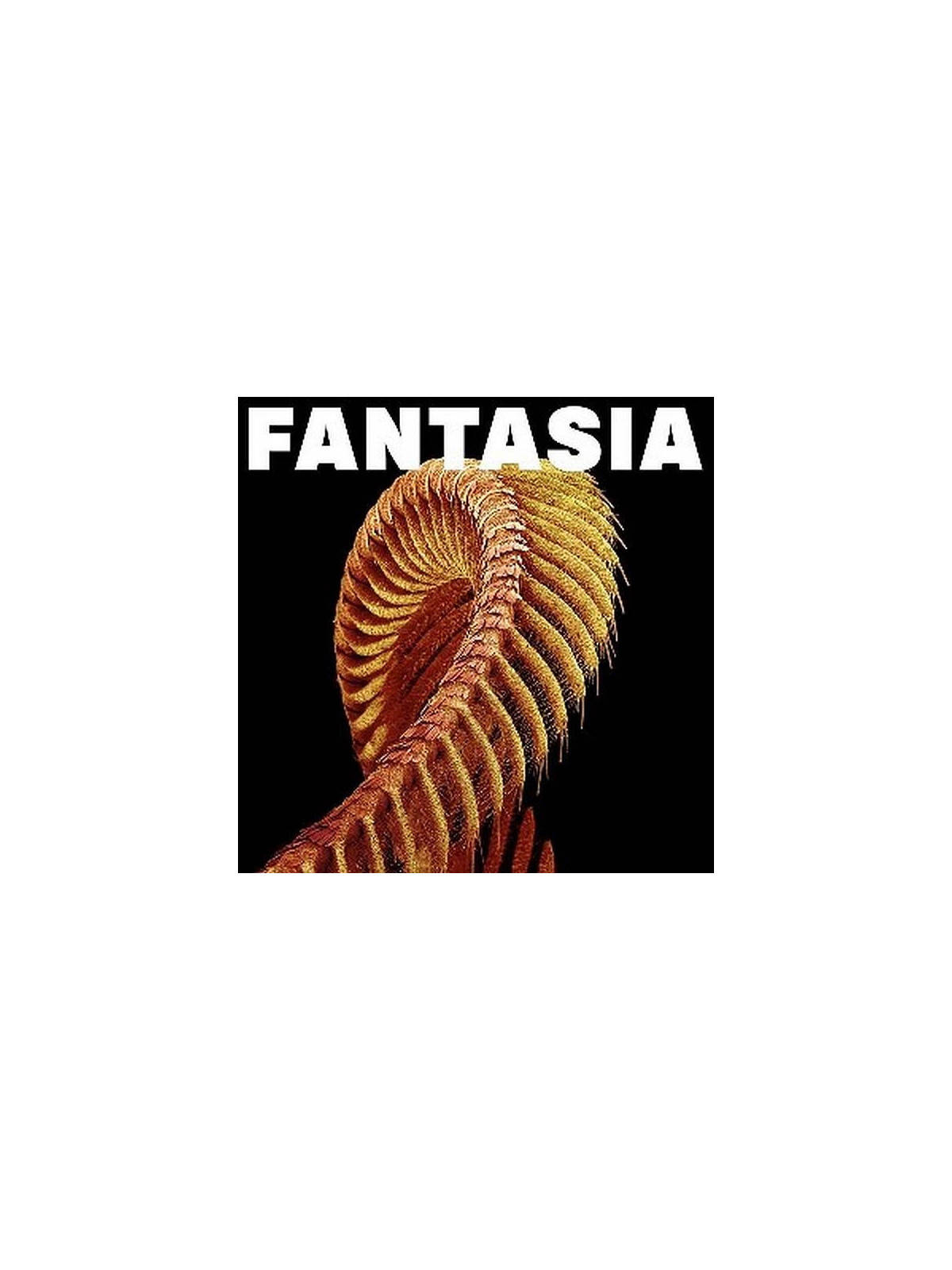 Le disque de Slift : Fantasia est disponible en vinyle starlight à Ciel rouge, disquaire à Dijon