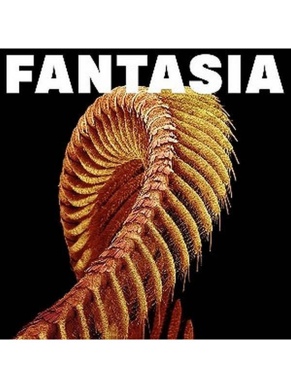 Le disque de Slift : Fantasia est disponible en vinyle starlight à Ciel rouge, disquaire à Dijon