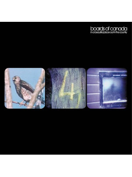 Le disque de Boards of Canada : In a beautiful place out in the country est en stock en CD à Ciel rouge, disquaire à Dijon