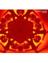 Le disque de Boards of Canada : Geogaddi est en stock en CD à Ciel rouge, disquaire à Dijon