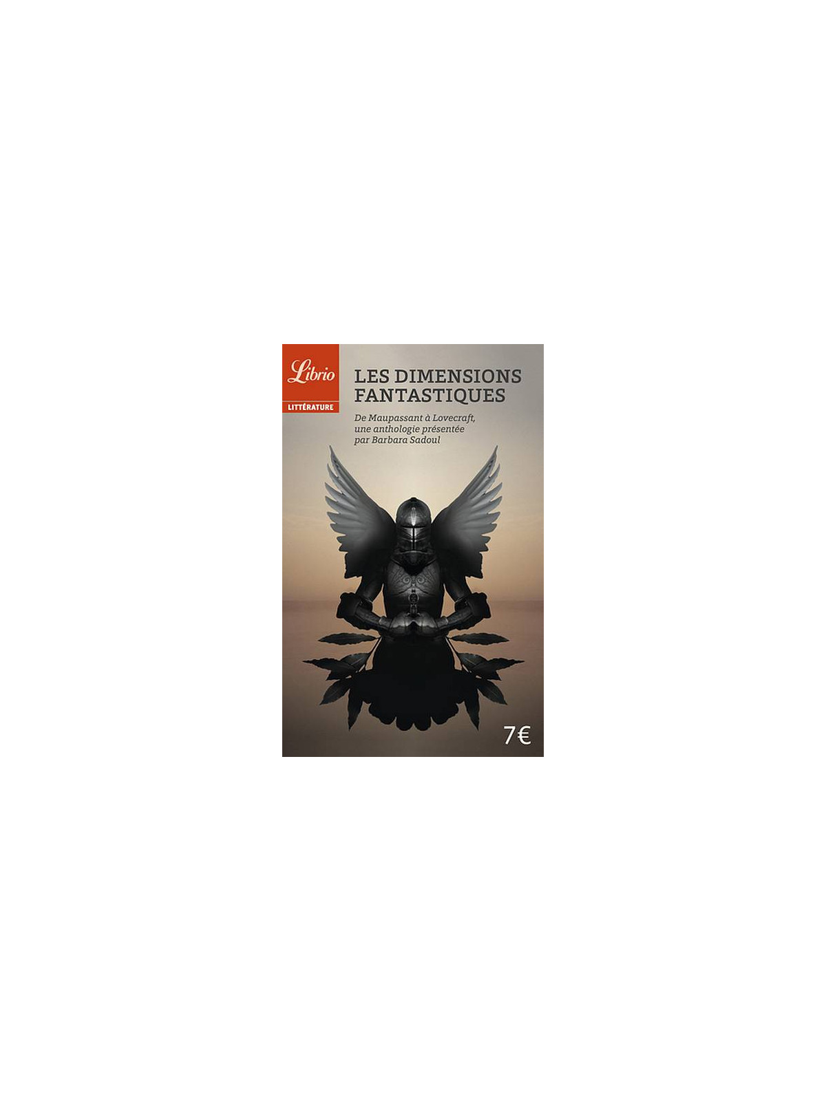L'anthologie Les dimensions fantastiques est disponible à Ciel rouge Dijon