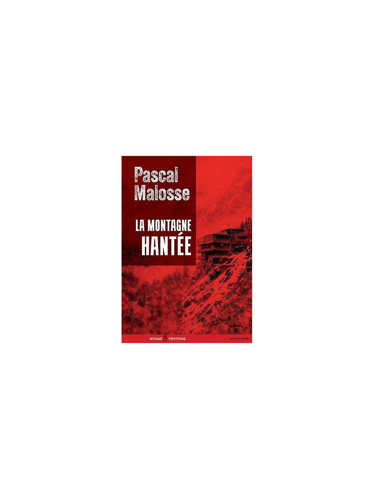 Le livre fantastique La montagne hantée de Pascal Malosse est disponible à Ciel rouge Dijon