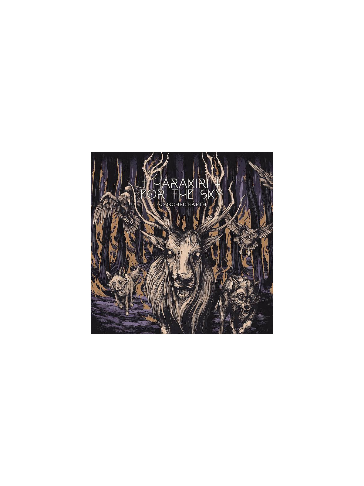 Le vinyle de Harakiri for the sky : Scorched earth est en stock à Ciel rouge, disquaire indépendant au centre-ville de Dijon