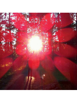 Le vinyle de Russian circles : Empros est en stock à Ciel rouge, disquaire indépendant au centre-ville de Dijon