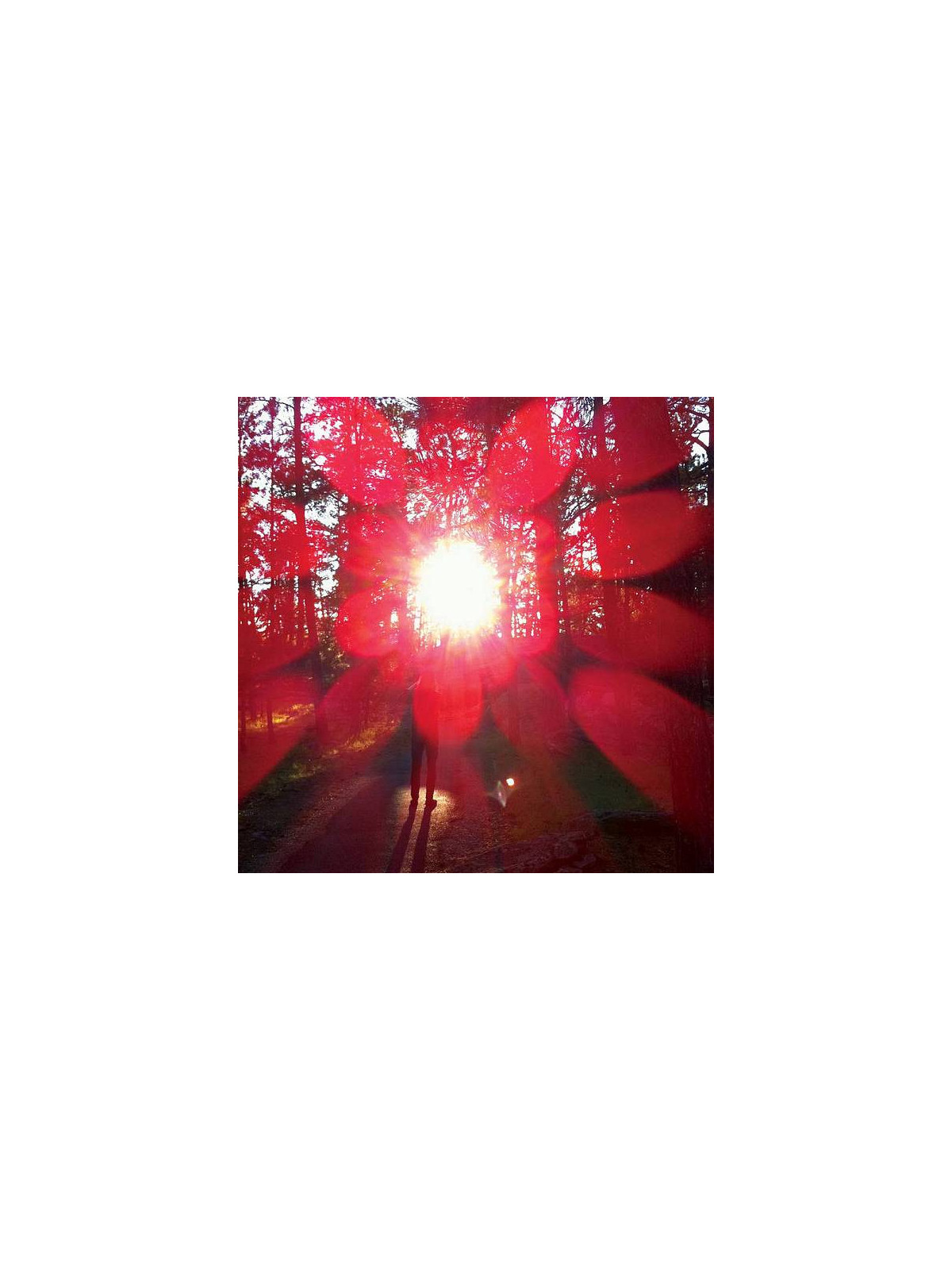 Le vinyle de Russian circles : Empros est en stock à Ciel rouge, disquaire indépendant au centre-ville de Dijon