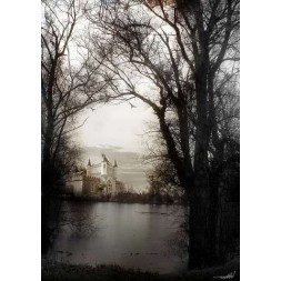 l'Affiche TomaBw : Moonlight sonata est en stock au magasin ciel rouge à dijon