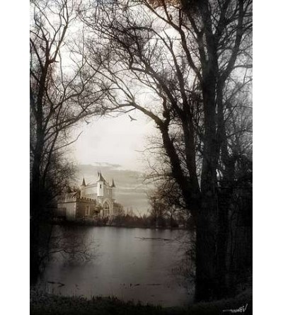 l'Affiche TomaBw : Moonlight sonata est en stock au magasin ciel rouge à dijon