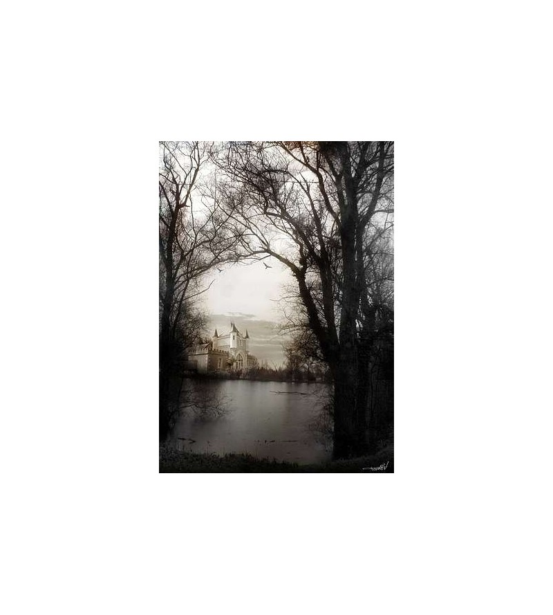 l'Affiche TomaBw : Moonlight sonata est en stock au magasin ciel rouge à dijon