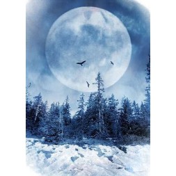 Affiche Nature poetry